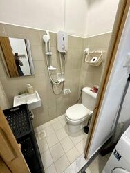 Tanglin View (D3), Condominium #479171421